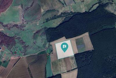 13ha de teren compact Ianova-Bencec - 1