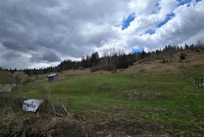 Teren intravilan de 9000 mp, în Central - 4