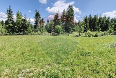 Teren 19,370mp Neagra Sarului / Strada ?estina - 9