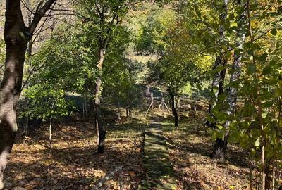 Proprietate Valenii de Munte - 2