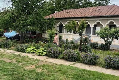 Casa Crevedia Mare Giurgiu - 8