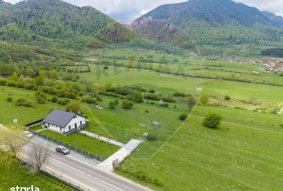 Teren de 1100 mp, în Tohănița - 2