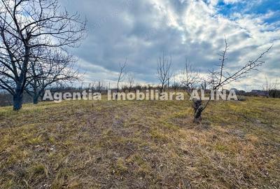 Teren în Călugareni - 12
