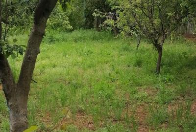 Casă cu 4 camere cu Teren 2000 Mp în Bugeac - 3