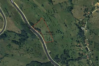 Teren de 8757 mp, în Luncoiu de Sus - 3