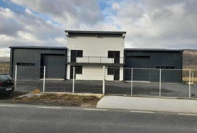 Hala de inchiriere in Luna de Sus - 1