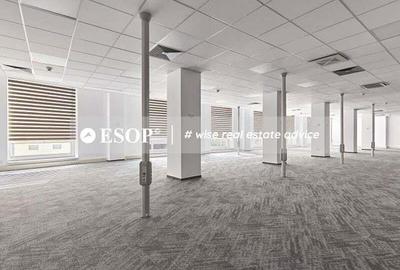 Central Business Park, Marasesti, 273 - 2160 mp 0% comision! - 3