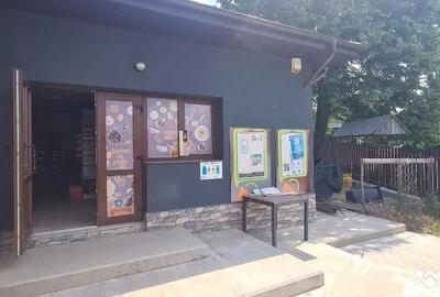 Casă cu 8 camere cu Teren 2370 Mp în Central - 4