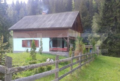 Casă cu 3 camere cu Teren 400 Mp în Central - 15