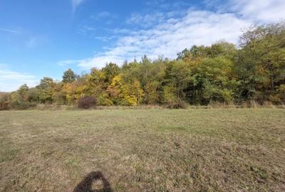 Spațiu comercial, în Cladova - 10