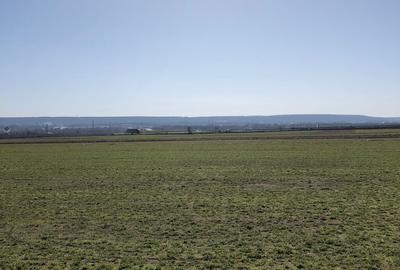 Teren extravilan de 4000 mp, în Mărăcineni - 4