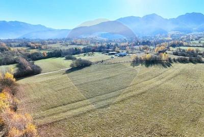 Comision 0% | 2 parcele x 650 mp | Priveliste Bucegi,Magura,P Craiului - 4