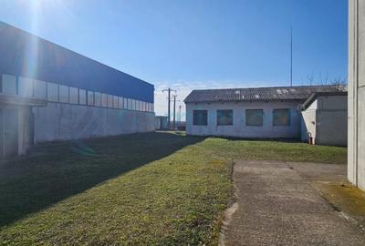 Spațiu industrial, de 6,227 mp, în Homorog - 14