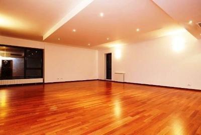 Apartament nemobilat Herastrau - 3