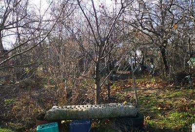 Casă cu 5 camere în Albești - 5