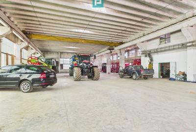 Spațiu industrial, de 6,179 mp, în Orțișoara - 9