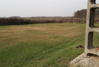 Vanzare teren intravilan Teghes -Domnesti Ilfov Vanzare teren intravilan Teghes -Domnesti Ilfov - 2