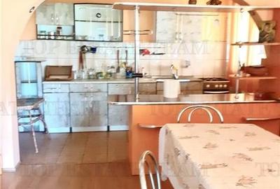 VIla 5 camere + casa rustica 4 camere, teren 5699 mp, ideal pentru investie turi - 4