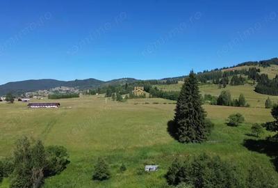 Teren in Bucovina! La Munte! De vanzare! 0727817187 - 5