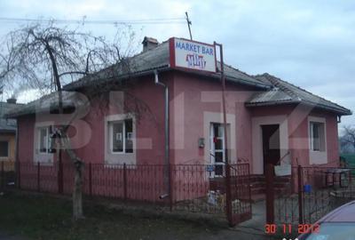 Casă cu 2 camere cu Teren 5600 Mp în Central - 9