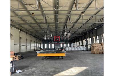 Depozit/hala/spatiu industrial Ciorogarla - A1 - KM14, Ilfo - 2