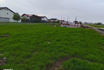 Spațiu comercial, în Brănești - 5