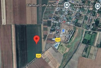 Teren de 16200 mp, în Schela - 1