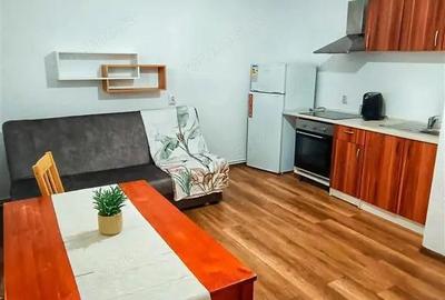 Garsoniera, 3 minute de UMF, Cornisa, Targu Mures - 11