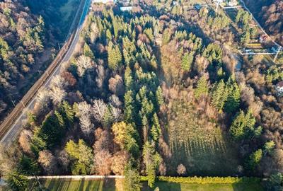 Teren Construcții intravilan de 10000 mp, în Timișu de Jos - 5