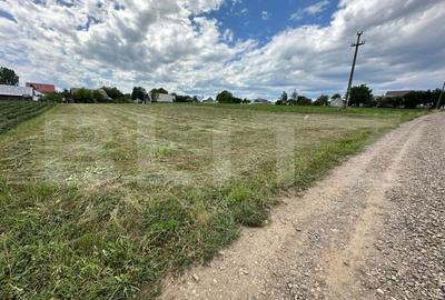 Ocazie, teren intravilan + casa batraneasca , zona Moara Carp - 3