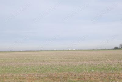 Teren de 270000 mp, în Gherghița - 5