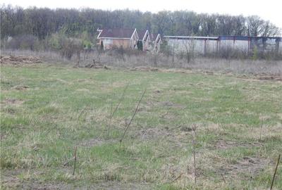 TEREN INTRAVILAN 1.000 MP | BĂNEASA – ALEEA TEIȘANI | 199.000 € - 6