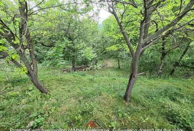 Casa in Telega----28.000e - 13