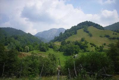 Vand teren intravilan localitatii Rucar, sat Satic, punct Caminul Casei, jud. Arges - 5