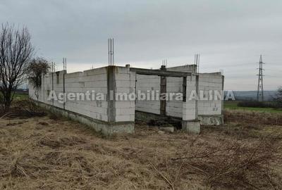 Teren 3525 mp in Satul Pestisu Mare, Jud. Hunedoara si casa neterminata... - 10