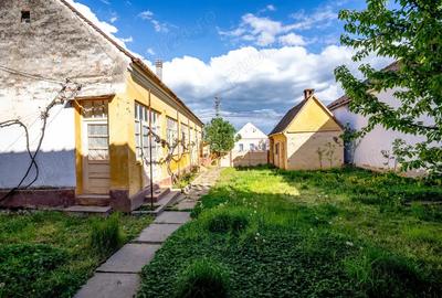 Vand casa in Chesin?, com. Zabrani, jud. Arad 2.376 mp teren - 8