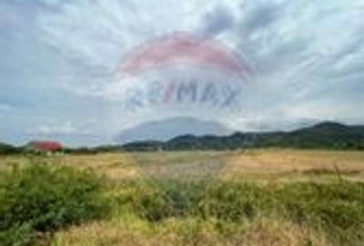 Teren de vanzare 990mp in Barzava, jude?ul Arad - 2