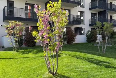 Apartament cu 3 camere semidecomandat în Theodor Pallady - 9