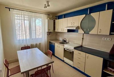 Apartament cu 2 camere semidecomandat în Careiului - 8