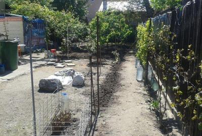 Casa - Sos. Viilor - 2