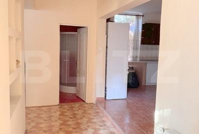 Casa individuala, 6 camere, 196 mp, zona Parc 14 Iulie-Grigorescu - 6