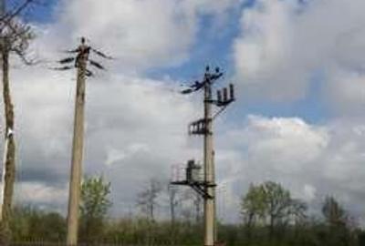 Teren de 5000 mp, în Central - 1