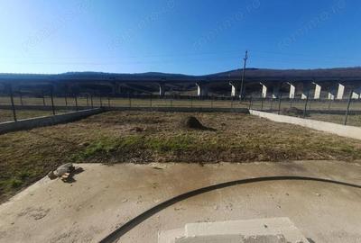 Casă cu Teren 400 Mp în Luna - 5