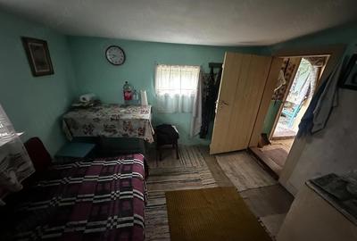 Casă cu 3 camere cu Teren 1300 Mp în Tudor Vladimirescu - 4