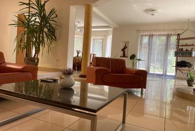 Proprietate inedita cu teren de 4400, si deschidere cu ponton pe Bega - 4