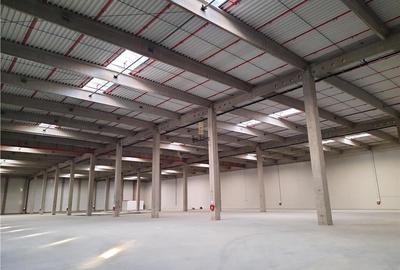 Spatii Industriale - 6500 mp - Logistica - Productie - Depozitare - Distributie