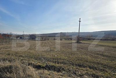 Teren extravilan de vanzare, 1.113 mp, zona-Valea Chintaului - 8