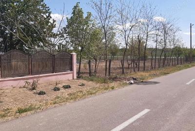 Casă cu 6 camere în Ograda - 1
