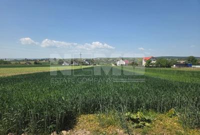 Teren agricol extravilan de 2600 mp, în Mitocu Dragomirnei - 5