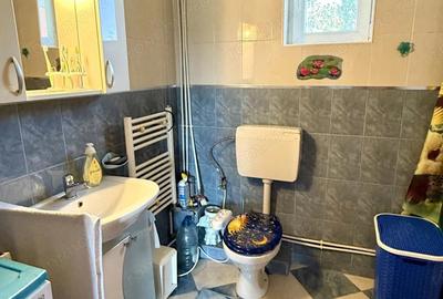 Casă cu Canalizare în Lunei - 14